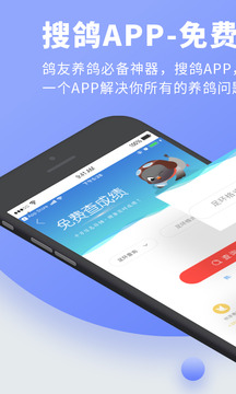 搜鸽网app