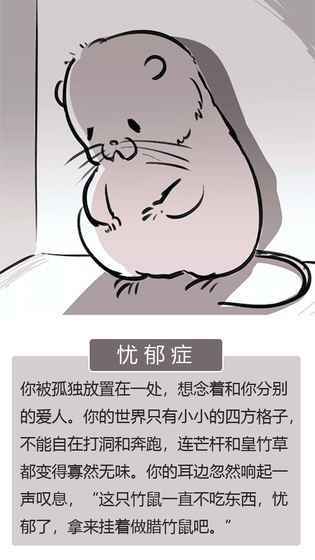 竹鼠活下去下载