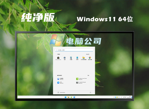 电脑公司Win11极简纯净版ISO镜像下载简体中文版_电脑公司Win11极简纯净版ISO镜像最新版