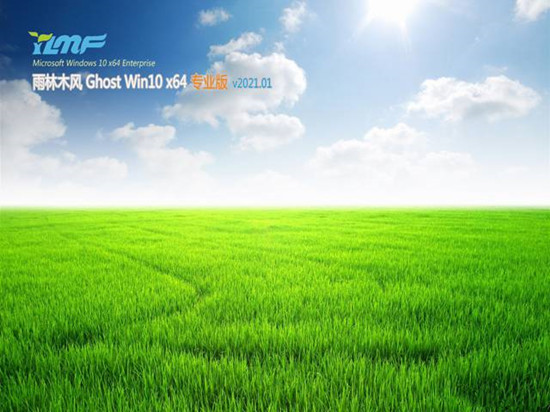 Ghost Win10 64位 快速专业版下载中文版_Ghost Win10 64位 快速专业版下载最新版