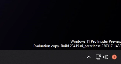 Win11 Build  23419