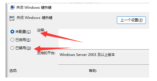 Windows11专业版2023