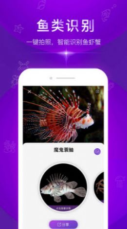 拍照识别鱼品种app-插图1