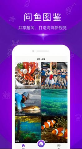 拍照识别鱼品种app-插图2