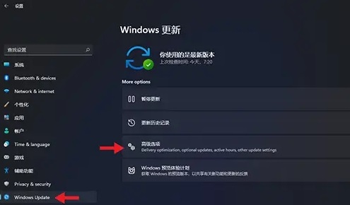 win11专业中文版