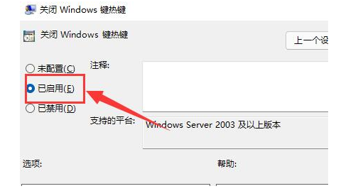 win11纯净版