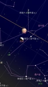 谷歌星空安卓版下载