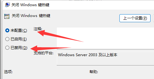 Windows11系统2023