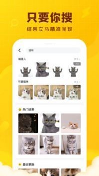 闪萌表情app最新版