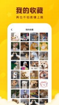 闪萌表情app最新版