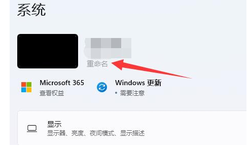 Windows  11专业版2022最新