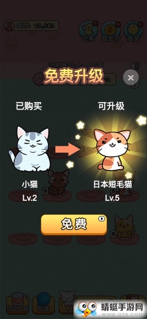 我的小猫手机版ios版