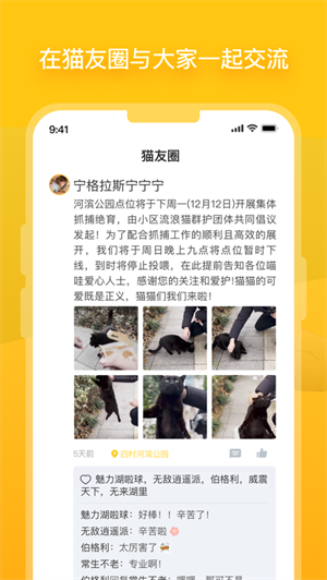 街猫app安卓免费下载最新版