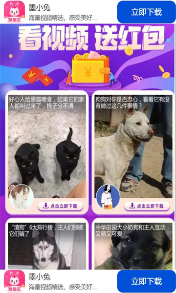 墨小兔app下载最新版