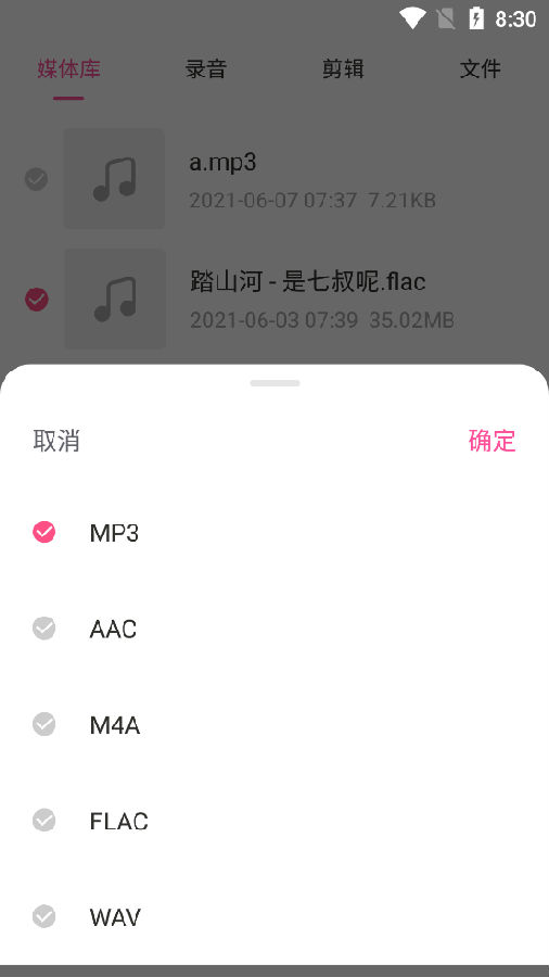 视频音频提取器专业版