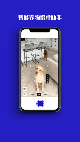 神马AI相机APP最新版