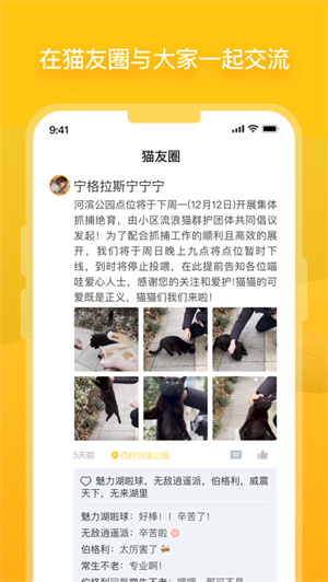 街猫app下载最新版安卓