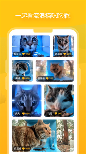 街猫app下载最新版安卓