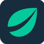 Bitfinex交易所app安卓下载