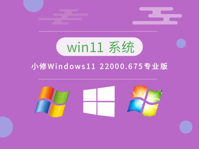 小修Windows11 22000.675专业版简体中文版_小修Windows11 22000.675专业版最新版下载