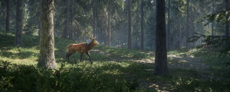 《猎人：荒野的呼唤》怎么抓费南多的骡鹿_《猎人：荒野的呼唤》费南多的骡鹿介绍