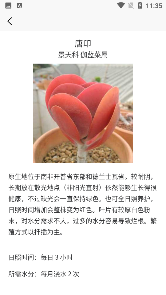 多肉植物陪护记下载免费版