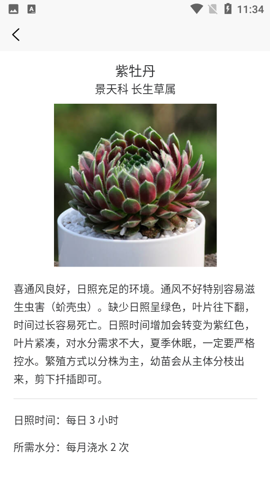 多肉植物陪护记下载免费版