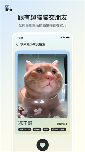 街猫app2024最新版下载安卓