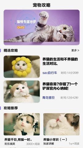 可爱喵喵壁纸大全app最新版