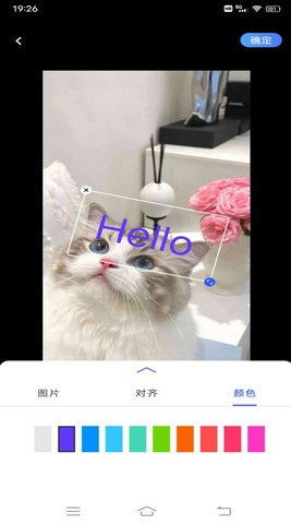 小猪翻译视频官方版