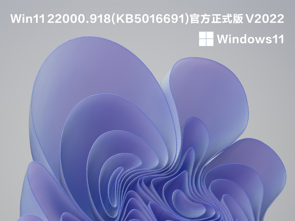 Win11 22000.918(KB5016691)正式版下载_Win11 22000.918最新版专业版