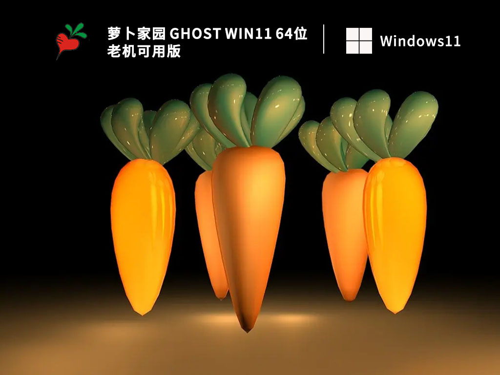 Ghost Win11 64位 老机可用版下载简体版_Ghost Win11 64位 老机可用版专业版最新版