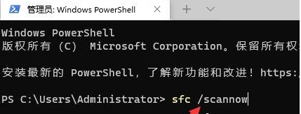 Windows  11 PE  Build  22621.1702 网络版 V2023