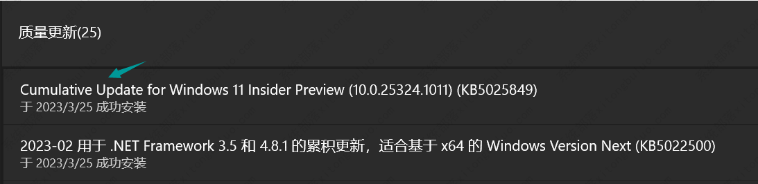 最新Win11 25324.1011(KB5025849)预览版iso镜像