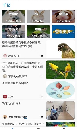 皁千韵亿千亿宠物服务平台APP