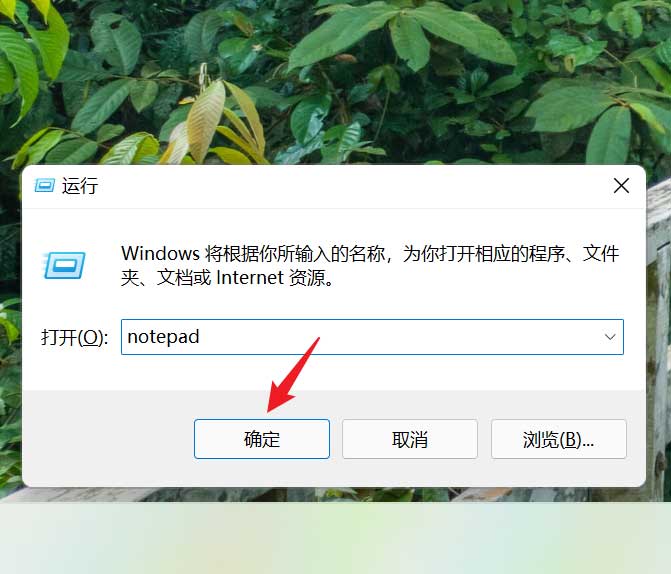 Win11最新23H2纯净版镜像 V2023