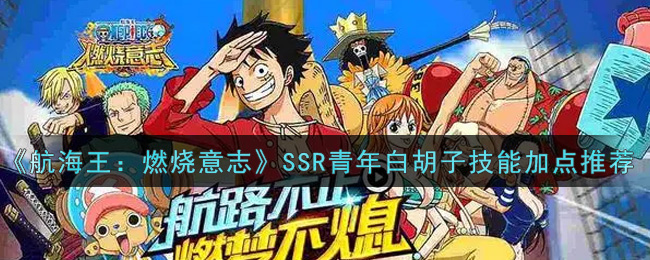 《航海王：燃烧意志》SSR青年白胡子技能加点推荐