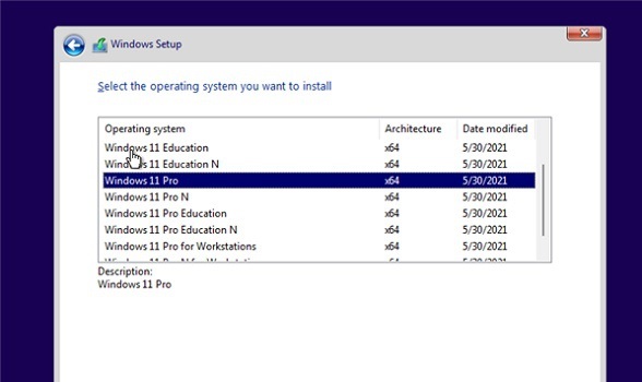 win11 dev版本  官方版 v22000.51