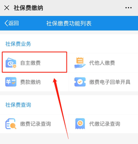 云南税务电子服务平台APP