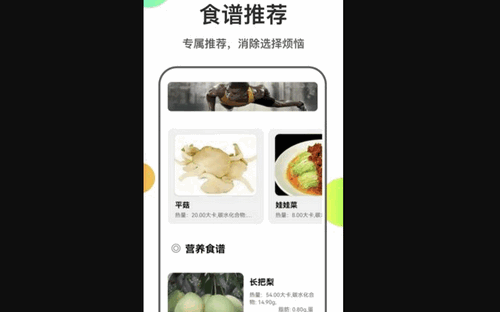 瘦身计划菜谱App手机版