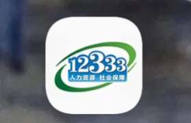 12333社保查询网手机版