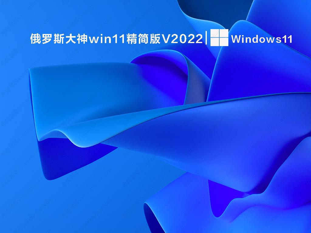 俄罗斯大神win11精简版简体中文版_俄罗斯大神win11精简版最新版