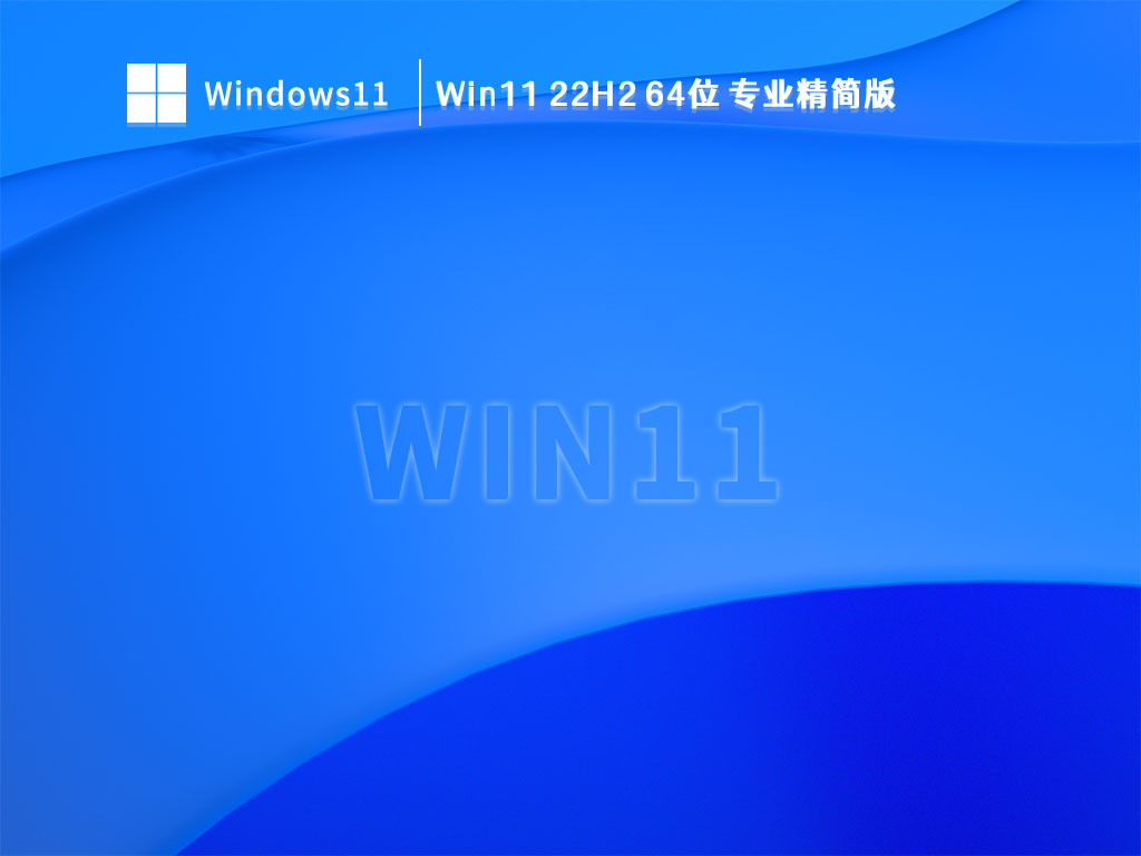 Win11 22H2 64位 专业精简版中文版_Win11 22H2 64位 专业精简版家庭版