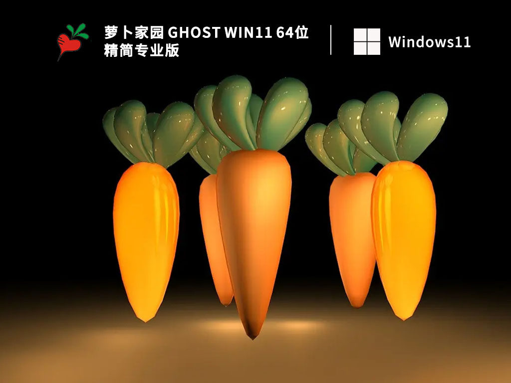 萝卜家园 Ghost Win11 64位 精简专业版中文正式版_萝卜家园 Ghost Win11 64位 精简专业版最新版本