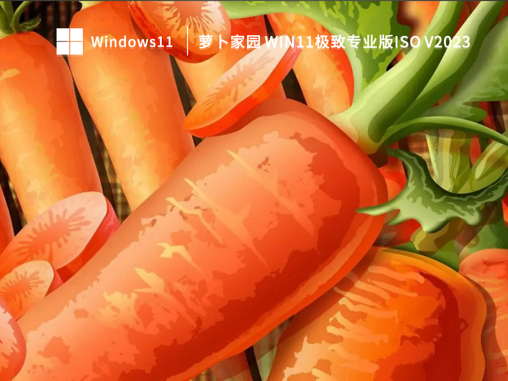 萝卜家园 Win11极致专业版ISO中文版完整版_Win11极致专业版ISO专业版最新版下载